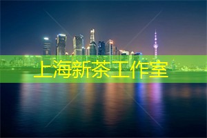 上海会所：逃离尘嚣，全方位领略私密空间中的奢华与慵懒的奥秘