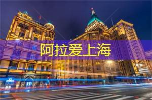 夜上海,彻夜狂欢的非凡夜生活指南 夜上海,彻夜狂欢的非凡夜生活指南