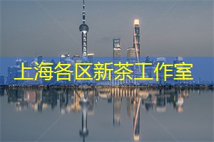 爱上海：寻找老上海的记忆