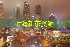 必去胜地曝光!上海后花园为你揭开最时尚的旅行形式! 必去胜地曝光!上海后花园为你揭开最时尚的旅行形式!