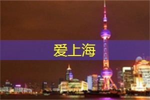 上海论坛青年领袖峰会：汇聚智慧，共启未来！