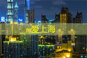 上海茶庄里的艺术茶品